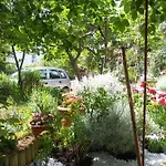 Apartman Zia
