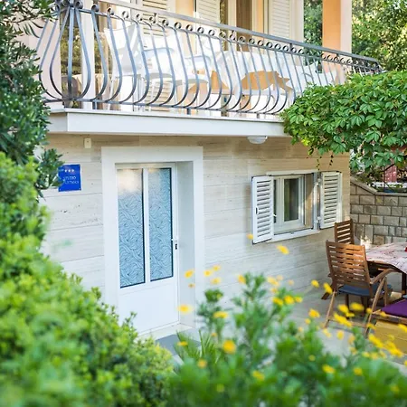 Zia Apartman *