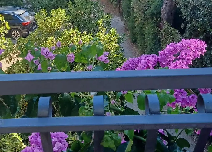 Διαμέρισμα Zia *