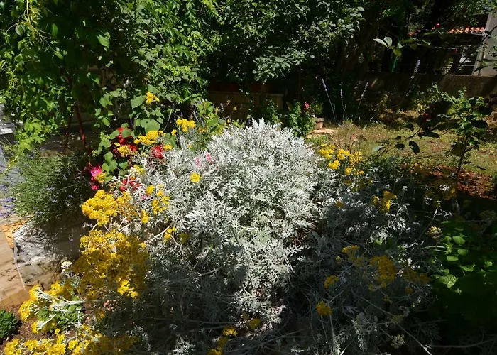 Διαμέρισμα Zia Petrcane