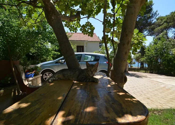 Zia Διαμέρισμα