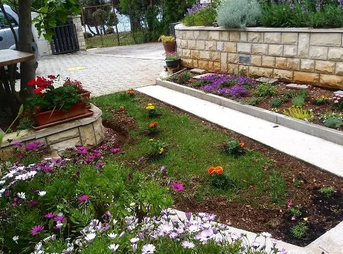 Zia Διαμέρισμα *