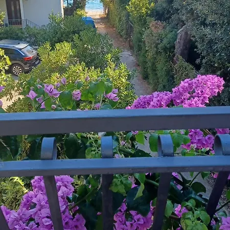 Appartement Zia *