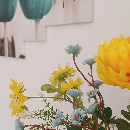Zia Apartment *