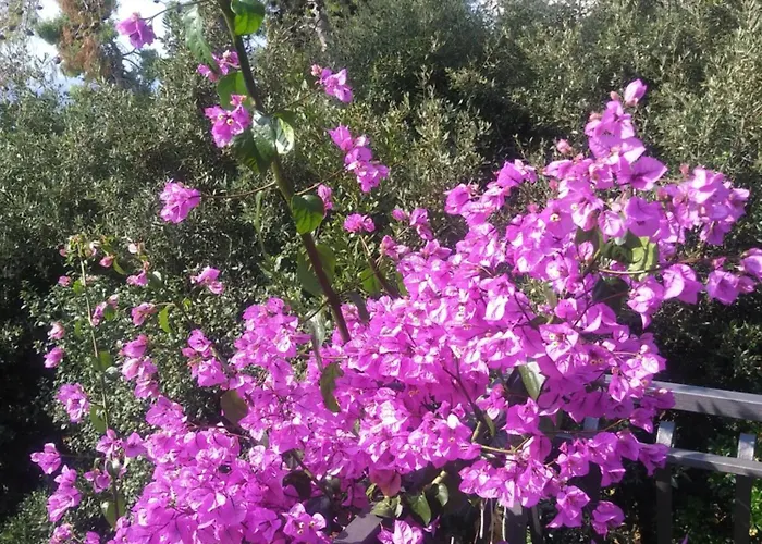 شقة Zia بيتريتْشاني